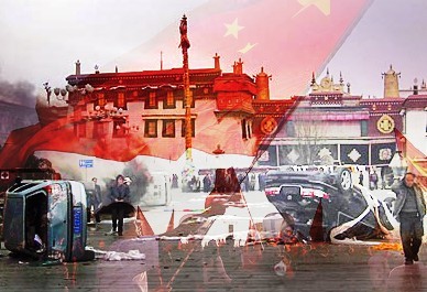 lhasa