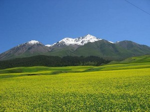 qilian_shan