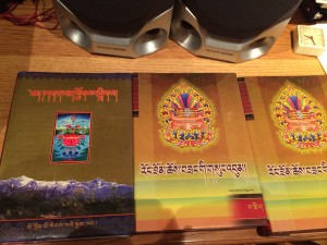 ཉིན་དེར་ངས་བཀླགས་པའི་དཔེ་ཆ་འགའ་ཞིག