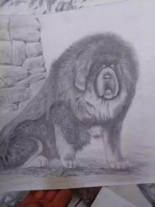 unnamed-5