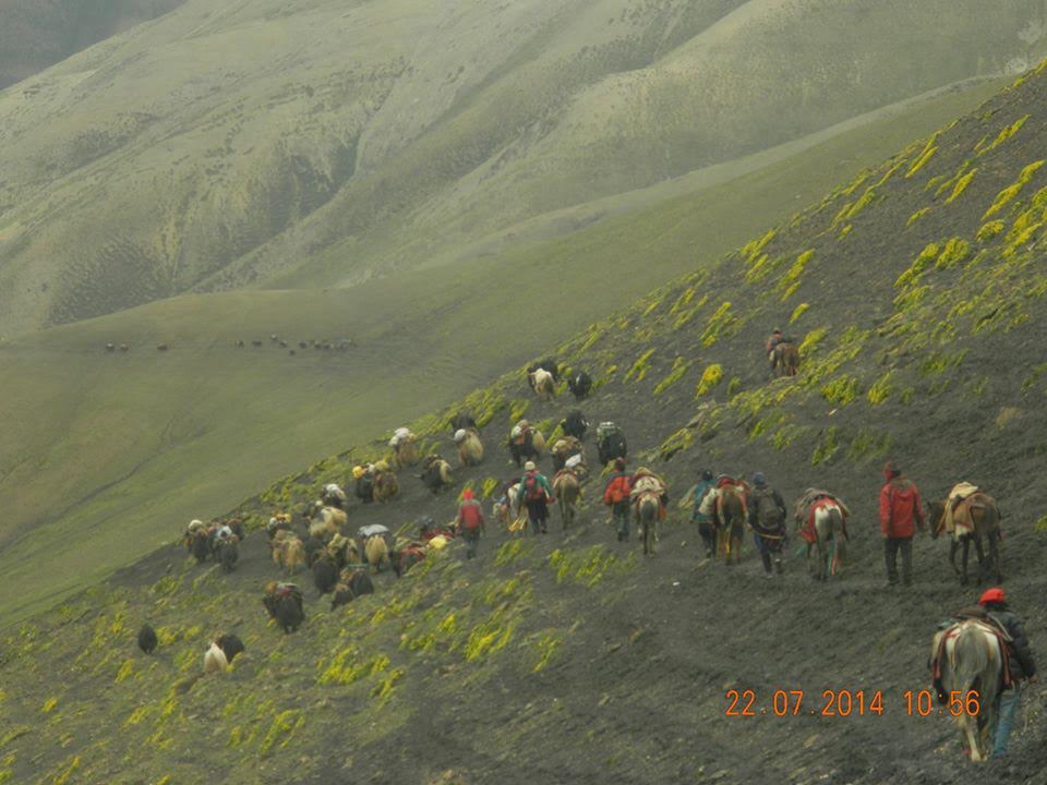 བོད་བྱང་ཐང་གི་ཕྱོགས་སུ་ཚོང་ལ་བསྐྱོད་བཞིན་པའི་དོལ་པོའི་ཡུལ་མི།