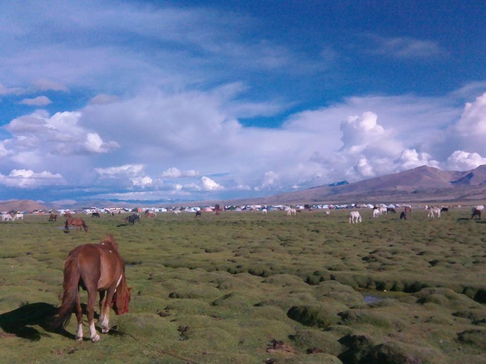 ​བོད་ལྗོངས་འབྲོང་པ་རྫོང་ཁོངས་སུ་གནའ་དུས་ནས་་ཚོགས་བཞིན་པའི་དོལ་པོ་དང་བྱང་ཐང་འབྲོག་པའི་ཚོང་འདུས་ཀྱི་རྣམ་པ།