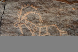 petroglyph_at_bir_hima_in_saudi_arabia